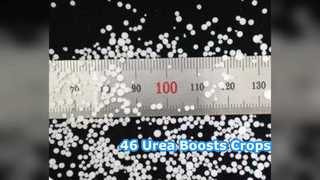 Boost Crops: ปุ๋ยยูเรีย 46% สำหรับเกษตรกร